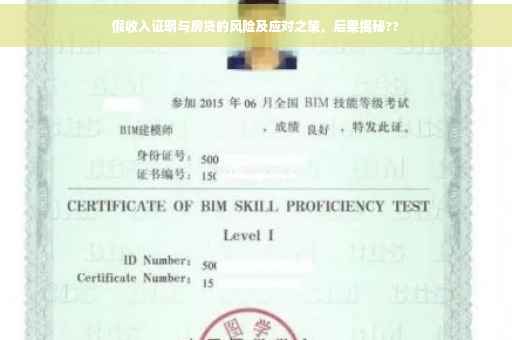 假收入证明与房贷的风险及应对之策，后果揭秘??