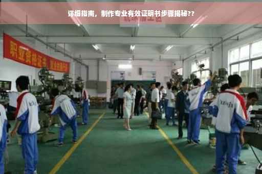 详细指南，制作专业有效证明书步骤揭秘??