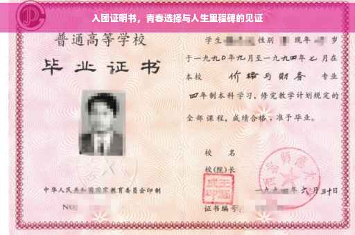 入团证明书，青春选择与人生里程碑的见证