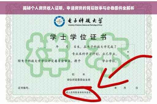 揭秘个人房贷收入证明，申请房贷的背后故事与必备条件全解析
