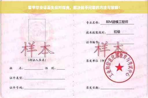 留学毕业证丢失应对指南，解决棘手问题的方法与策略！