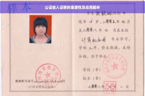 公证收入证明的重要性及应用解析