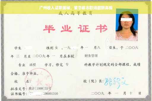广州收入证明揭秘，繁华都市职场薪酬真相