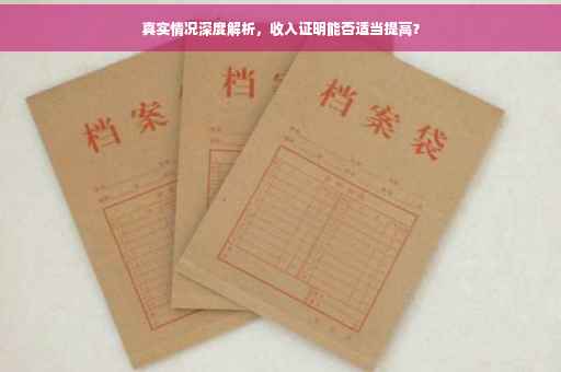 真实情况深度解析，收入证明能否适当提高？