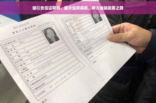 银行资信证明书，揭示信用真相，助力金融发展之路