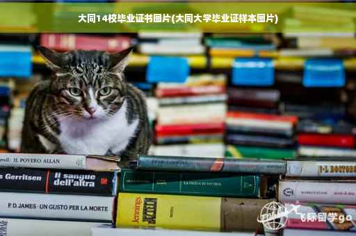 大同14校毕业证书图片(大同大学毕业证样本图片)