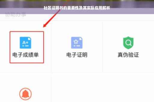 社区证明书的重要性及其实际应用解析
