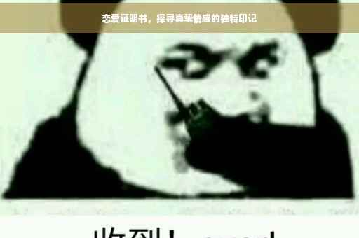 恋爱证明书，探寻真挚情感的独特印记