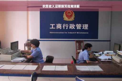 农民收入证明撰写指南详解
