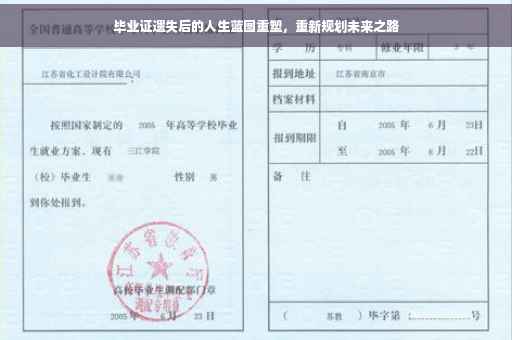 毕业证遗失后的人生蓝图重塑，重新规划未来之路