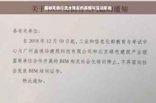 揭秘无银行流水背后的真相与深远影响