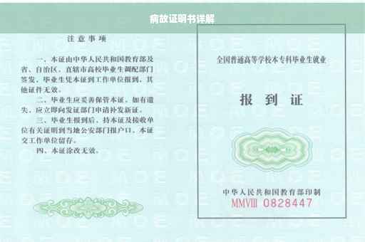 病故证明书详解