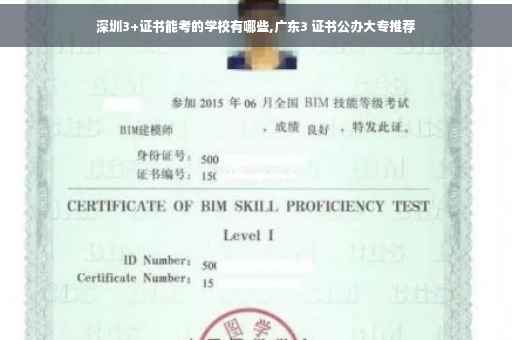 深圳3+证书能考的学校有哪些,广东3 证书公办大专推荐 深圳3+证书能考的学校有哪些,广东3 证书公办大专推荐