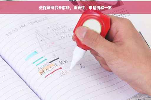 低保证明书全解析，重要性、申请流程一览