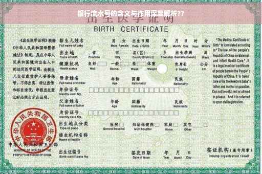 银行流水号的含义与作用深度解析??