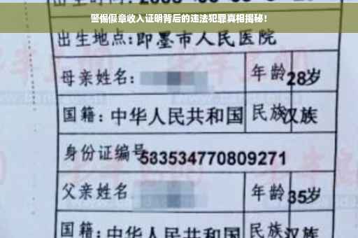 警惕假章收入证明背后的违法犯罪真相揭秘！