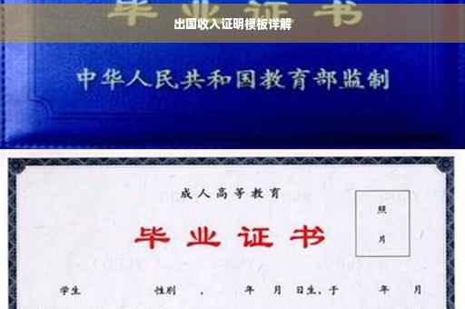 出国收入证明模板详解