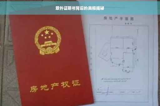 意外证明书背后的真相揭秘