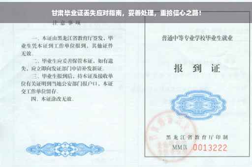 甘肃毕业证丢失应对指南，妥善处理，重拾信心之路！