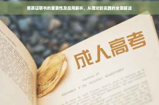 熏蒸证明书的重要性及应用解析，从理论到实践的全面解读