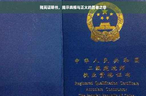残高证明书，揭示真相与正义的勇者之举