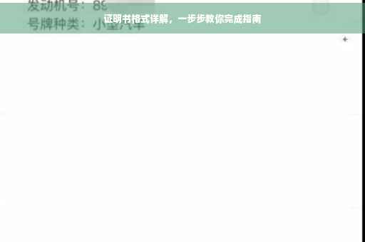 证明书格式详解，一步步教你完成指南