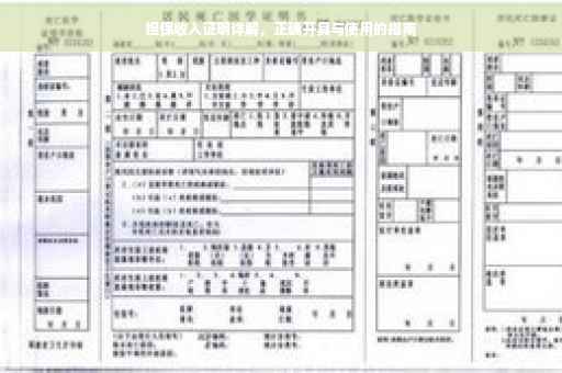 担保收入证明详解，正确开具与使用的指南