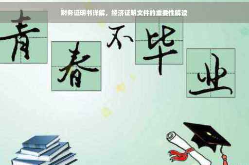 财务证明书详解，经济证明文件的重要性解读