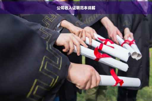 公司收入证明范本详解