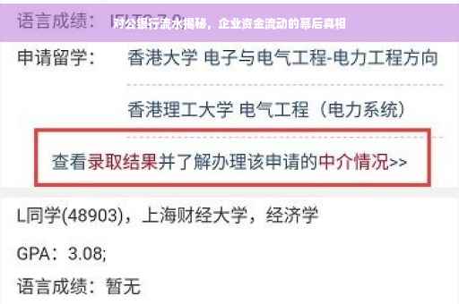对公银行流水揭秘，企业资金流动的幕后真相
