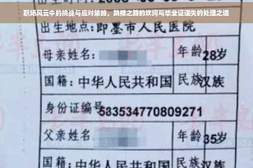 职场风云中的挑战与应对策略，跳槽之路的坎坷与毕业证遗失的处理之道