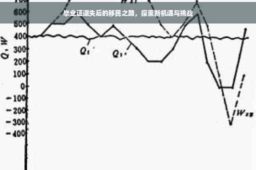 毕业证遗失后的移民之路，探索新机遇与挑战