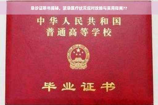 急诊证明书揭秘，紧急医疗状况应对攻略与实用指南??