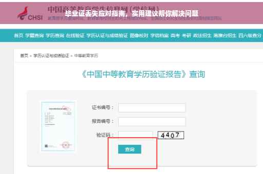 毕业证丢失应对指南，实用建议帮你解决问题