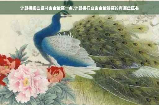 计算机哪些证书含金量高一点,计算机行业含金量最高的有哪些证书