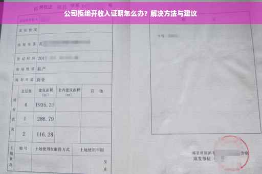公司拒绝开收入证明怎么办？解决方法与建议