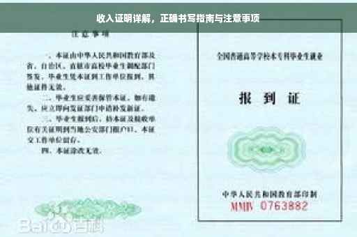 收入证明详解，正确书写指南与注意事项