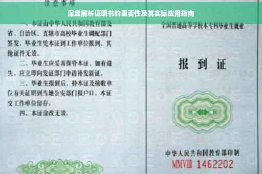 深度解析证明书的重要性及其实际应用指南