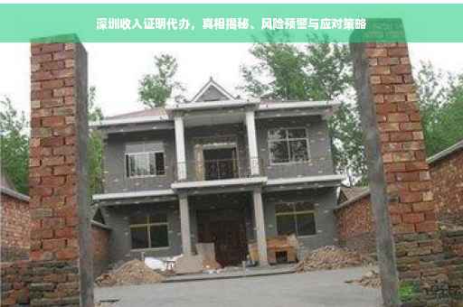 深圳收入证明代办，真相揭秘、风险预警与应对策略