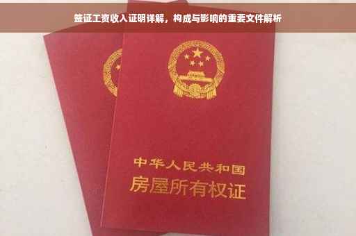 签证工资收入证明详解，构成与影响的重要文件解析