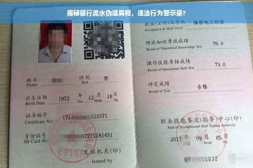 揭秘银行流水伪造真相，违法行为警示录?