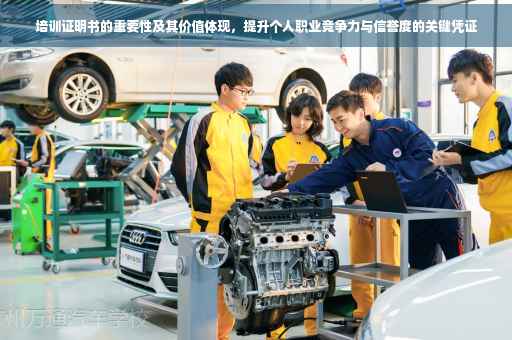 培训证明书的重要性及其价值体现，提升个人职业竞争力与信誉度的关键凭证