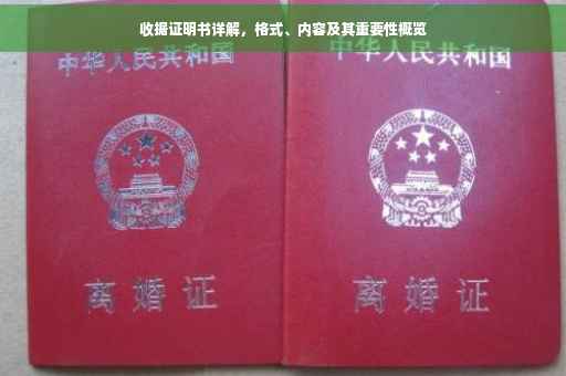 收据证明书详解，格式、内容及其重要性概览