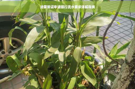 法国签证申请银行流水要求详解指南