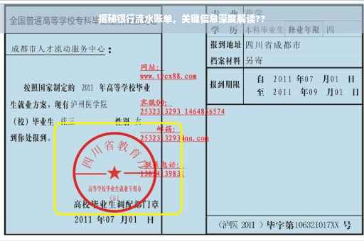 揭秘银行流水账单，关键信息深度解读??