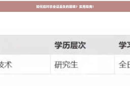 如何应对毕业证丢失的困境？实用指南！
