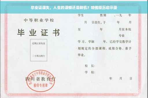 毕业证遗失，人生的遗憾还是转机？哈佛经历启示录
