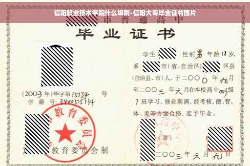 信阳职业技术学院什么级别-信阳大专毕业证书图片