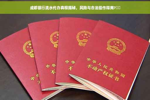成都银行流水代办真相揭秘，风险与合法操作指南?⚡️