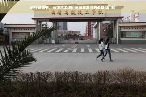 厨师证明书，烹饪艺术进阶与职业发展的必备敲门砖